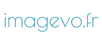 Logo de l'entreprise Imagevo